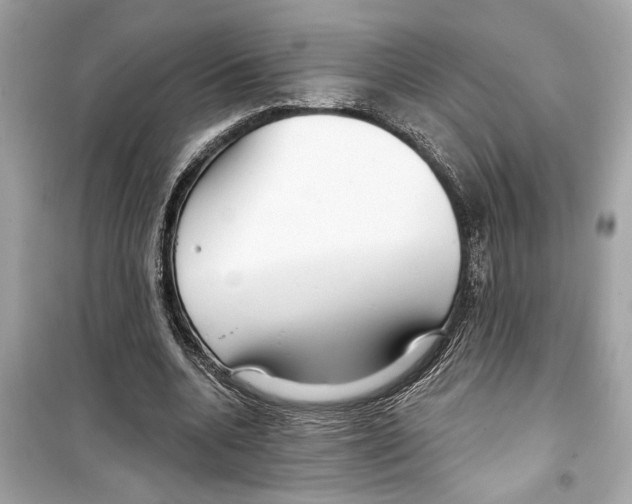 X0000098210536200805221629