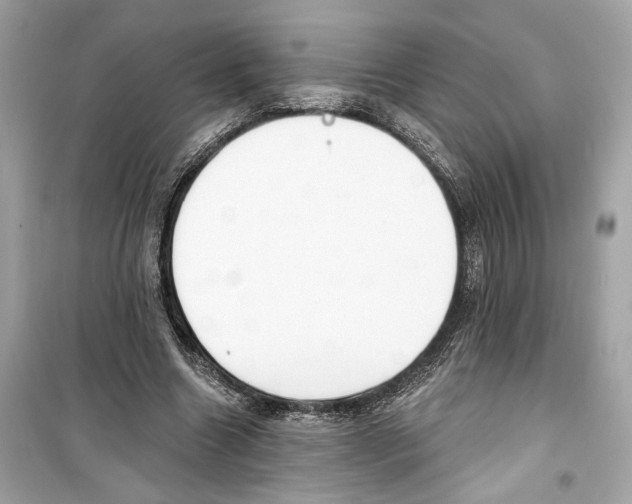 X0000098210538200805221629