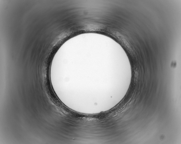 X0000098210539200805221629