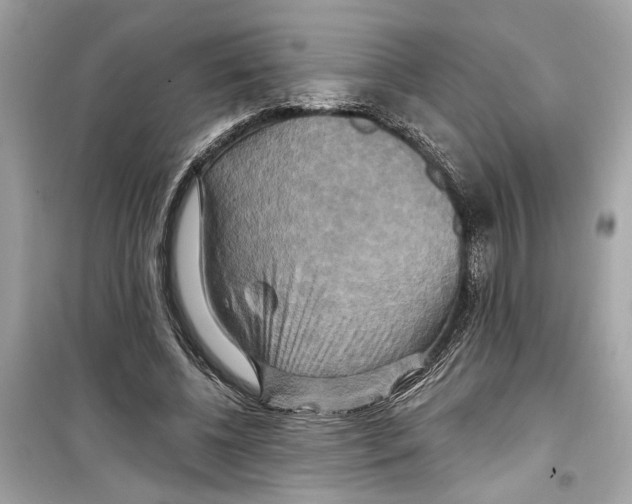 X0000098210540200805221629