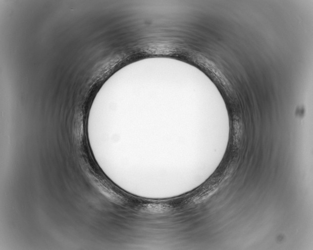X0000098210541200805221629