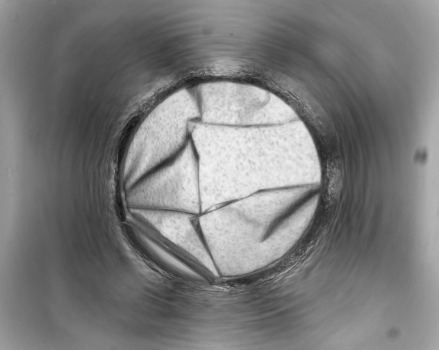 X0000098210542200805221629