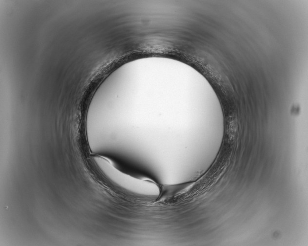 X0000098210544200805221629