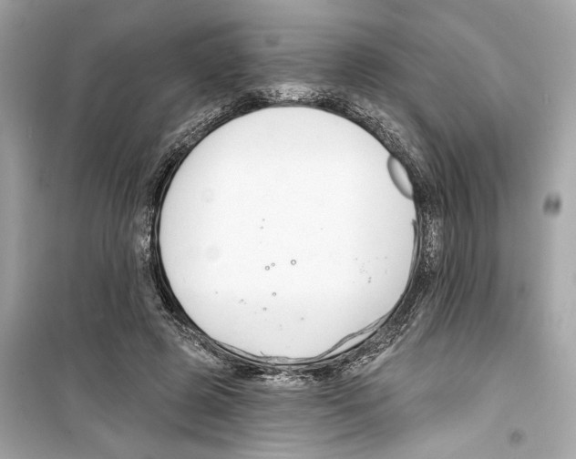 X0000098210545200805221629