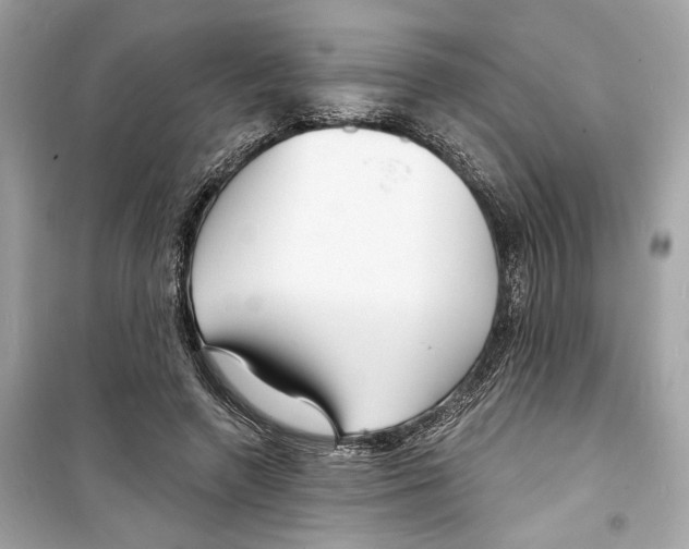 X0000098210546200805221629