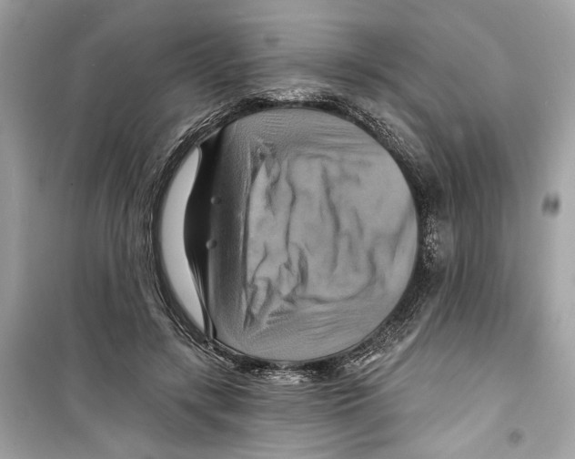X0000098210547200805221629