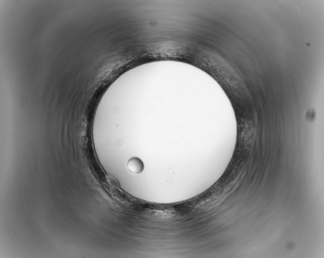 X0000098210548200805221629