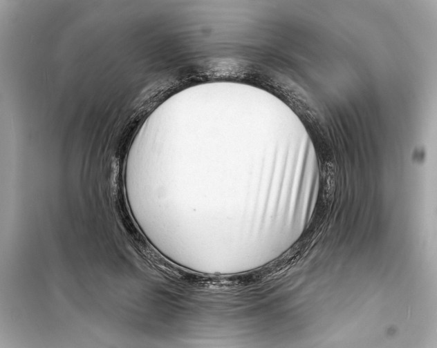 X0000098210550200805221629