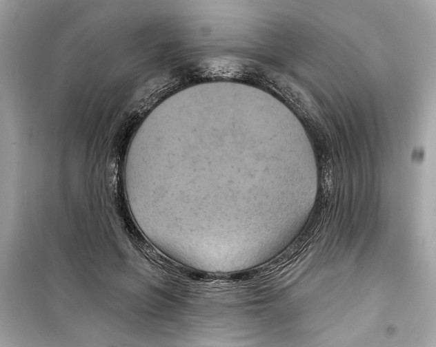 X0000098210551200805221629