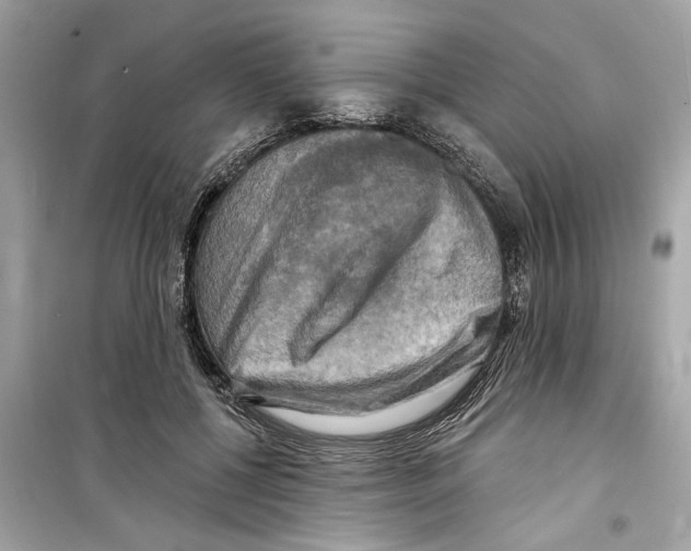 X0000098210552200805221629