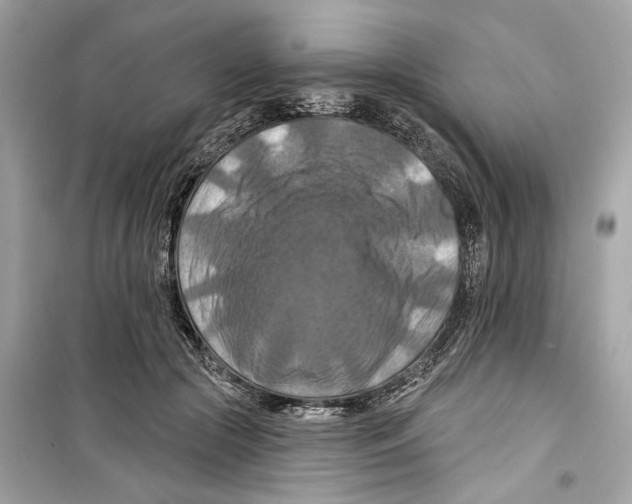 X0000098210553200805221629