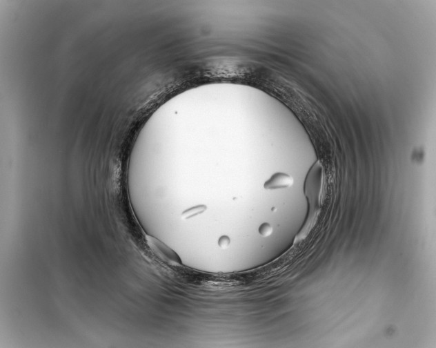 X0000098210556200805221629