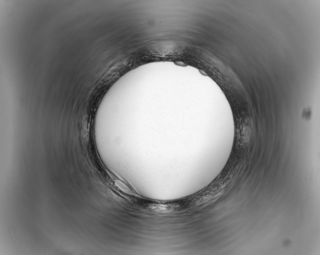 X0000098210558200805221629