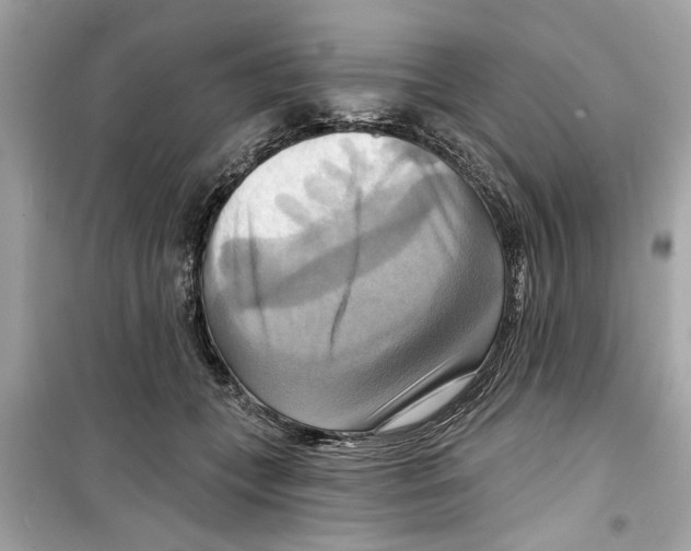 X0000098210559200805221629