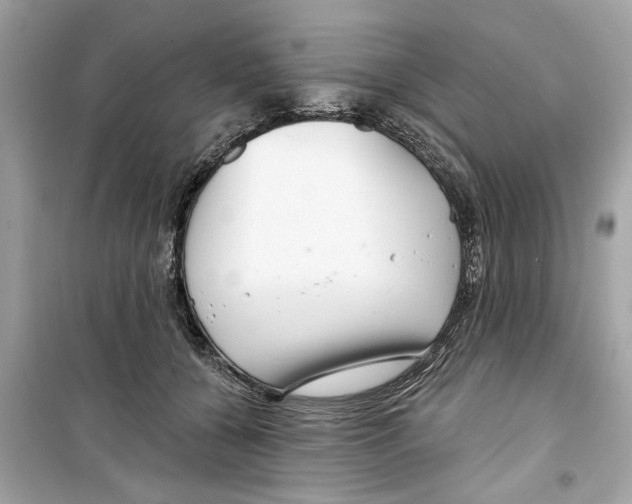 X0000098210560200805221629