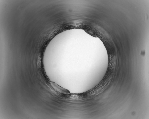 X0000098210562200805221629
