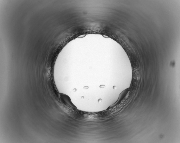 X0000098210564200805221629