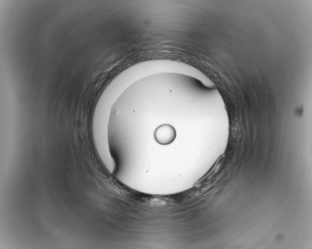 X0000098210566200805221629