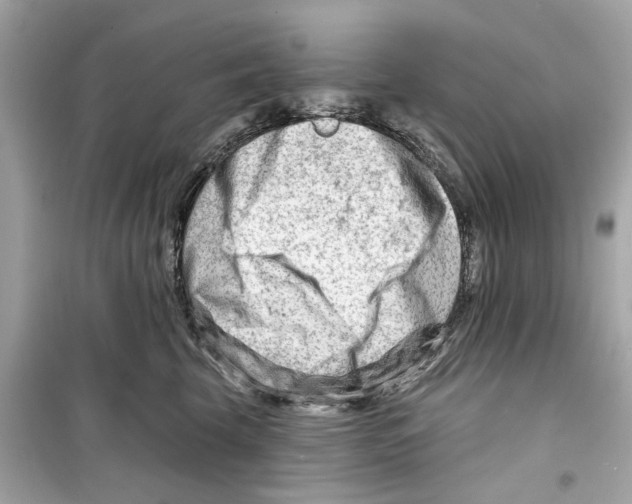 X0000098210569200805221629