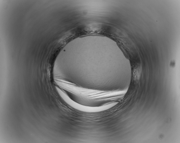 X0000098210570200805221629
