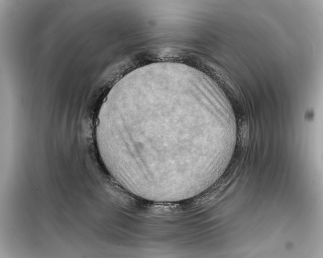X0000098210571200805221629