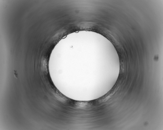 X0000098210575200805221629