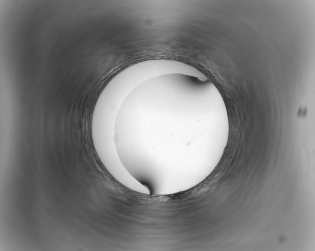 X0000098210576200805221630