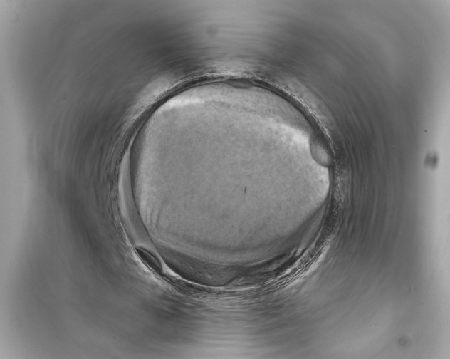 X0000098210577200805221629
