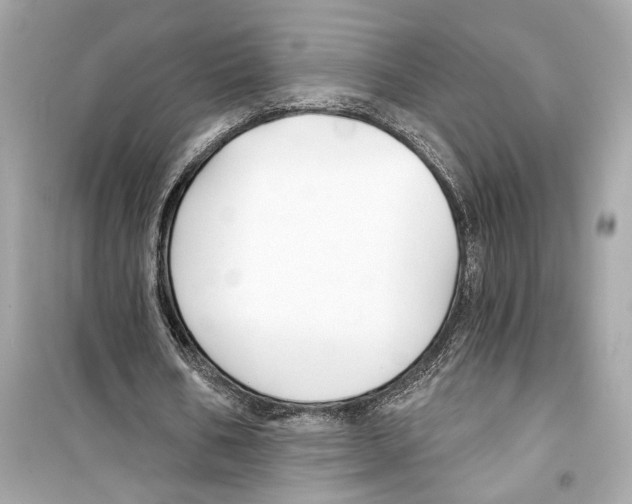 X0000098210578200805221629