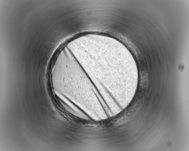 X0000098210580200805221629
