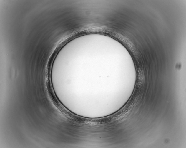 X0000098210582200805221629