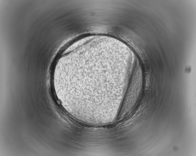 X0000098210584200805221629
