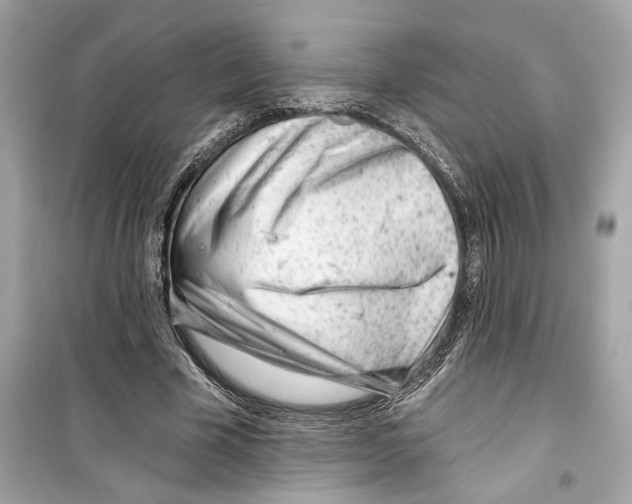 X0000098210585200805221629