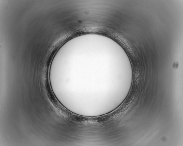 X0000098210586200805221629