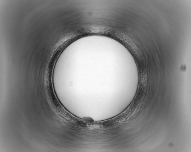 X0000098210587200805221629
