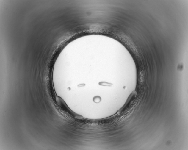 X0000098210588200805221629