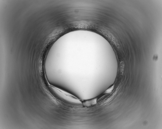 X0000098210589200805221629