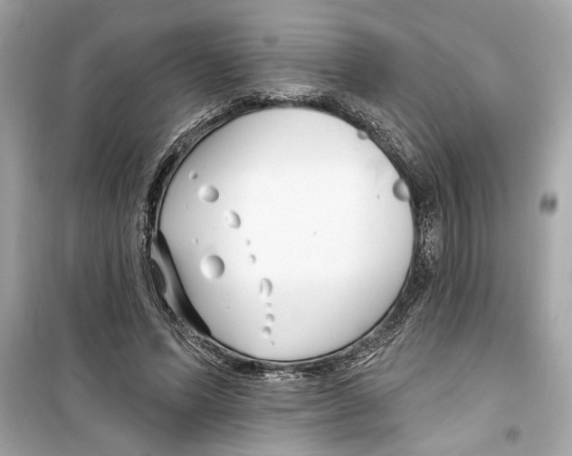 X0000098210591200805221629