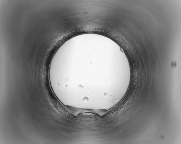 X0000098210592200805221629