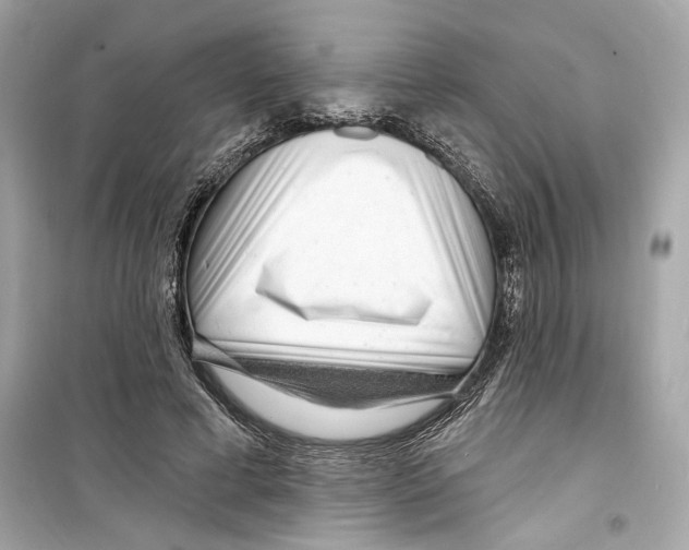 X0000098210593200805221629