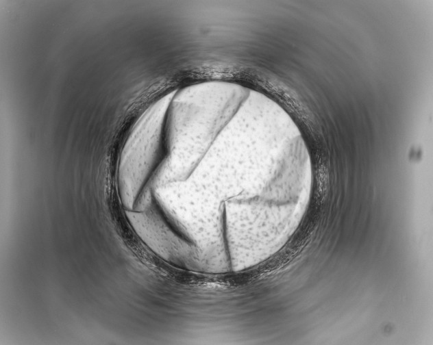 X0000098210594200805221629