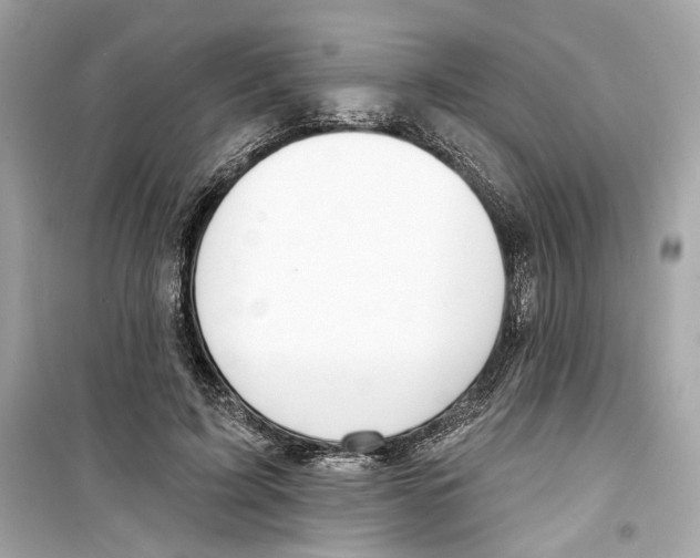 X0000098210595200805221629