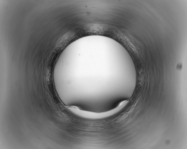 X0000098210597200805221629
