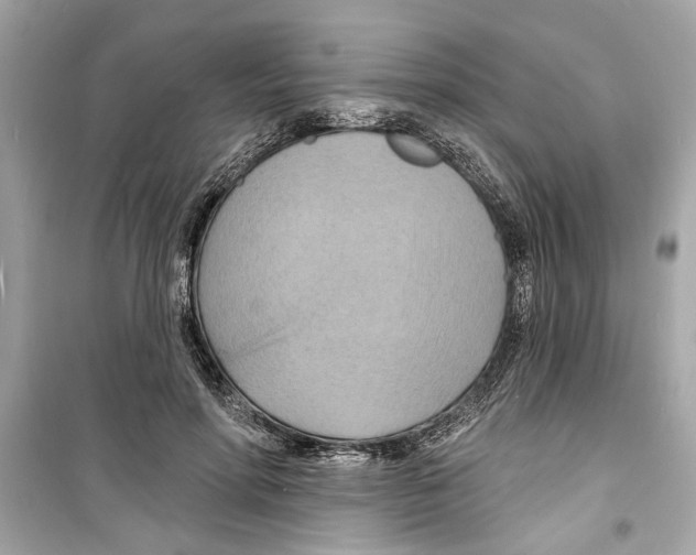 X0000098210598200805221629