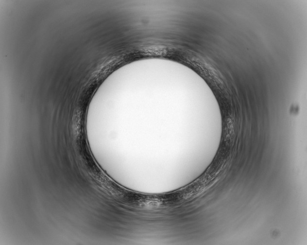 X0000098210600200805221629