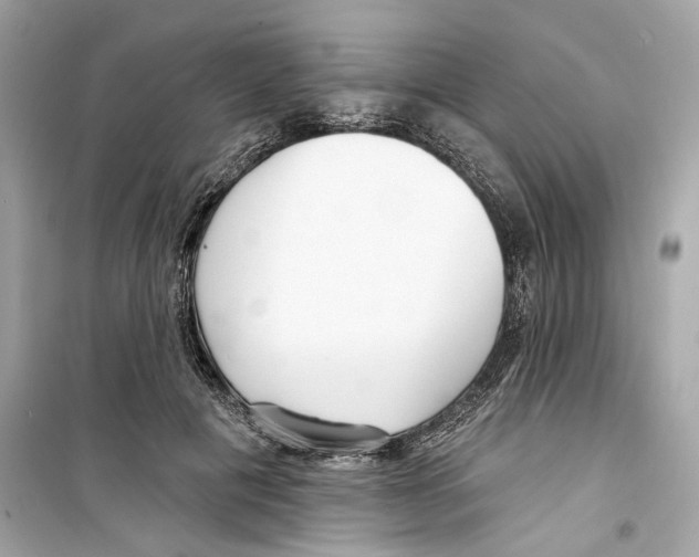 X0000098210601200805221629