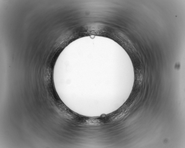 X0000098210603200805221628