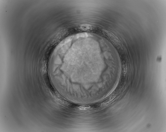 X0000098210606200805221628