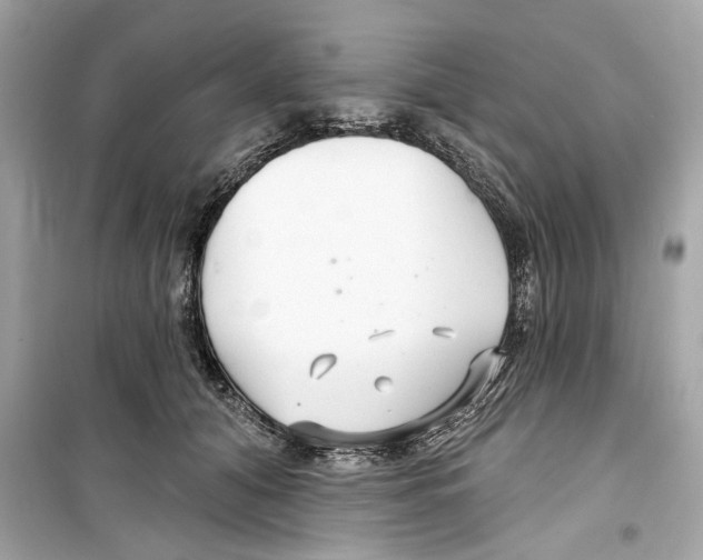 X0000098210608200805221628
