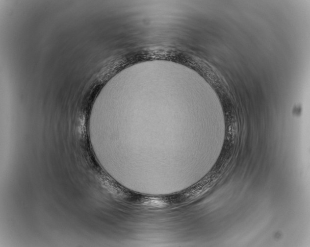 X0000098210610200805221628